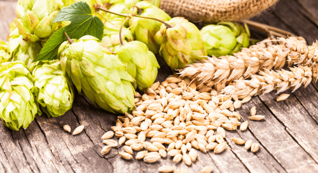 Hops with Grains